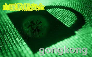 山麗網(wǎng)安 筑牢涉密信息安全防線，加密與防護(hù)軟件雙管齊下